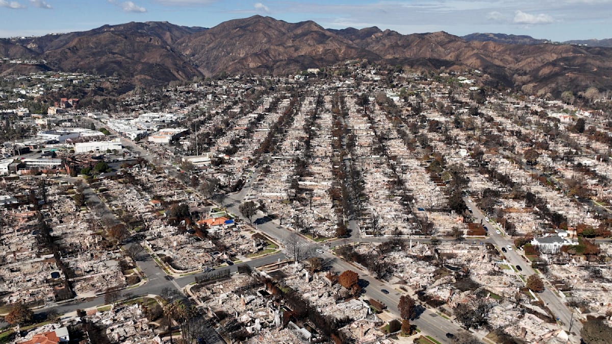 Großbrand in Los Angeles: Mutmaßlicher Brandstifter von Palisades festgenommen Großbrand in Los Angeles: Mutmaßlicher Brandstifter von Palisades festgenommen