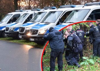 Mafia-Mord an der deutsch-polnischen Grenze? Die Polizei durchsucht den Wald nach einer Leiche