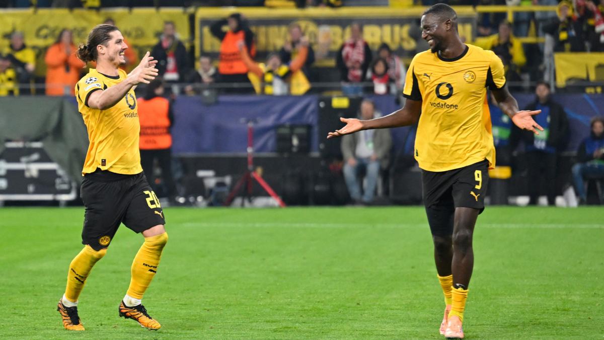 BVB aufgepasst: Guirassy ist ein Schnäppchen BVB aufgepasst: Guirassy ist ein Schnäppchen