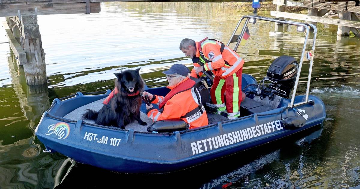 Leichenhunde machen sich auf die Suche nach Fabian