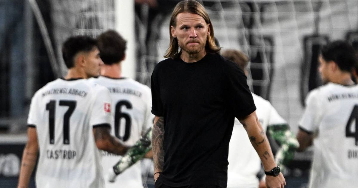 Polanski unterstützt Stöger und lobt Netz und Ullrich