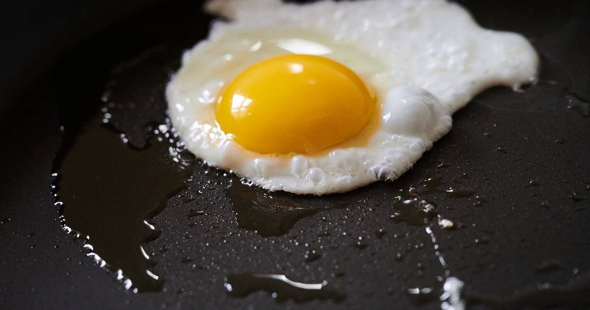 Schützen Sie Ihre eigenen Hühner, Hunde und Katzen richtig vor der Krankheit