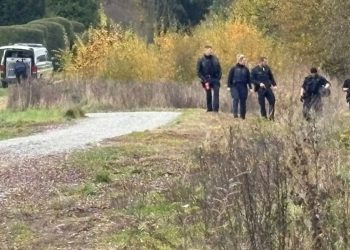 Mysteriöser Schwerverletzter auf unbefestigter Straße in Bayern: Polizei hat Verdacht | Regional