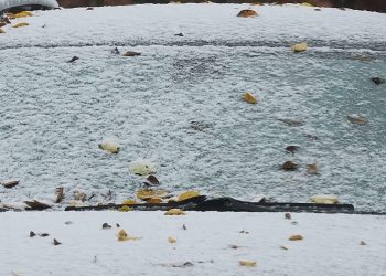 Schneefall in ganz Deutschland? An diesem Wochenende soll der Winter kommen