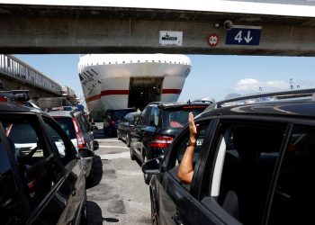 Spanien: 27 Jagdhunde starben auf der Schiffsüberfahrt nach Mallorca