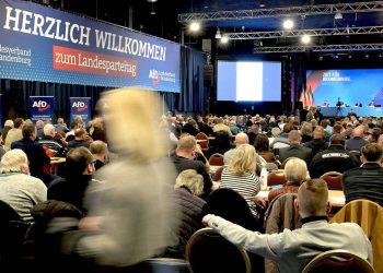Die AfD gärt weiter – rbb24.de
