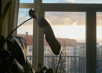 Mieten: Bauministerin Verena Hubertz will den Mietmarkt stärker regulieren