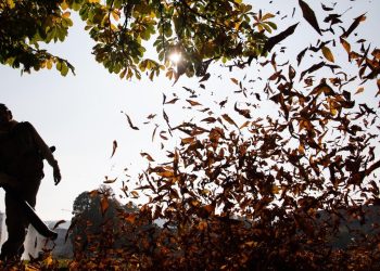 geringfügige Beschäftigung: Arbeitnehmergruppe der Gewerkschaft fordert weitgehende Abschaffung von Minijobs