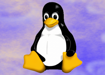 Missing Link: Wie es mit Linux ohne Linus Torvalds weitergehen würde