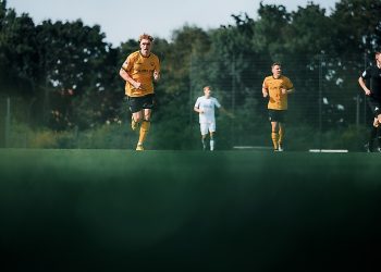 SGD testet gegen Cottbus – Dynamo Dresden