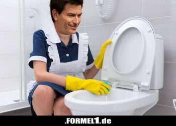 Ich erklärte der Putzfrau, wie man die Toilette reinigt