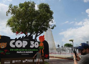 Brasiliens COP 30: Den Amazonas als Klimaretter nutzen | Leben & Wissen