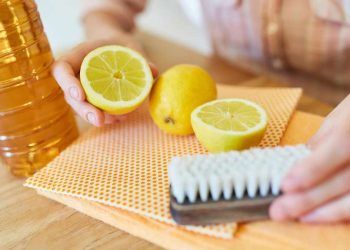 Erfrischungsgetränk entfernt im Handumdrehen Kalkablagerungen aus Wasserkochern – Essig und Natron sind überflüssig