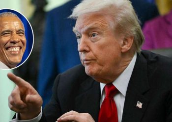 Donald Trump verfällt der Satire und verbreitet Obama-Fake-News