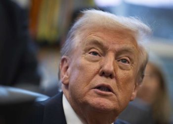 „Niemand weiß, was Magnete sind“