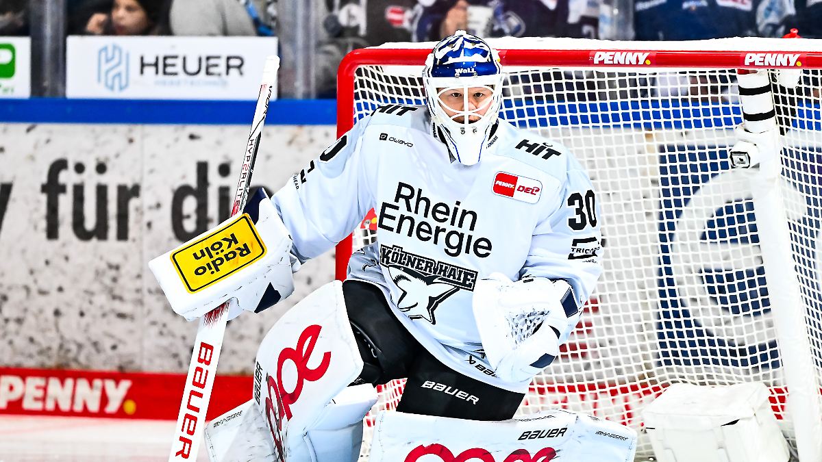 DEL: Die Kölner Haie erleiden eine historische Niederlage, die Tigers nutzen den Fehler der Mannheimer aus