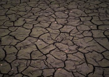 Anzeichen eines „Klimakollapses“: UN: Die Erde steuert auf eine Erwärmung um 2,8 Grad zu