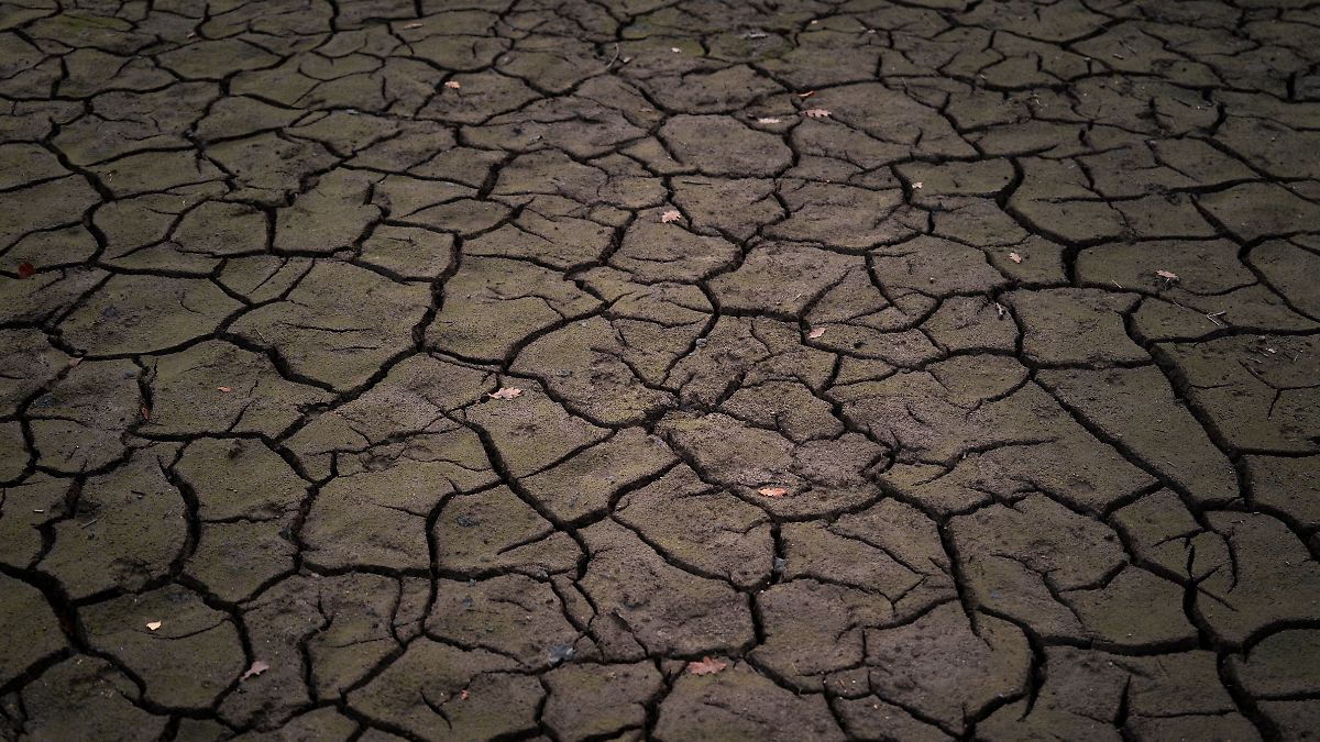 Anzeichen eines „Klimakollapses“: UN: Die Erde steuert auf eine Erwärmung um 2,8 Grad zu