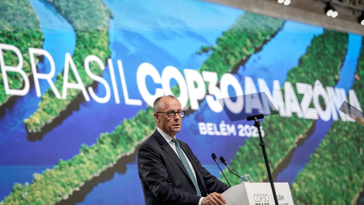 Wirtschaftlichkeit ist Trumpf: Merz will einen „erheblichen Betrag“ für den Tropenschutz spenden