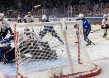 Eishockey | Die DEL-Spitzenteams Adler Mannheim und Kölner Haie erleiden Insolvenzen