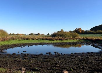 Mordfall Fabian: Hat die Polizei den Tatort nicht ordnungsgemäß durchsucht? | Regional