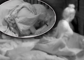 Der Promihof (RTLZWEI) – Sex in einer Reality-Show, während die Konkurrenz falsch liegt: „Absolutes No-Go!“