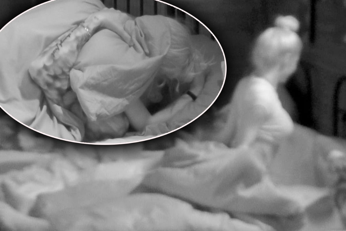 Der Promihof (RTLZWEI) – Sex in einer Reality-Show, während die Konkurrenz falsch liegt: „Absolutes No-Go!“