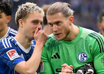 Schalke: Laut Statistik – Schalke hat bereits 82 Prozent Aufstieg geschafft! | Sport