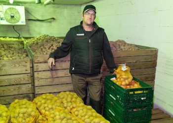 Zu viel!: Bauer musste 400 Tonnen Kartoffeln vernichten | Regional