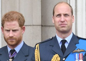 Experten sind sich sicher: Prinz Harry vermisst seinen Bruder William wirklich so sehr