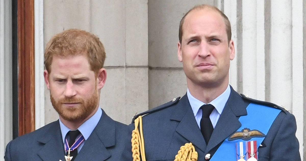 Experten sind sich sicher: Prinz Harry vermisst seinen Bruder William wirklich so sehr