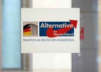 AfD-Bundestagsabgeordnete wollen offenbar nach Russland reisen