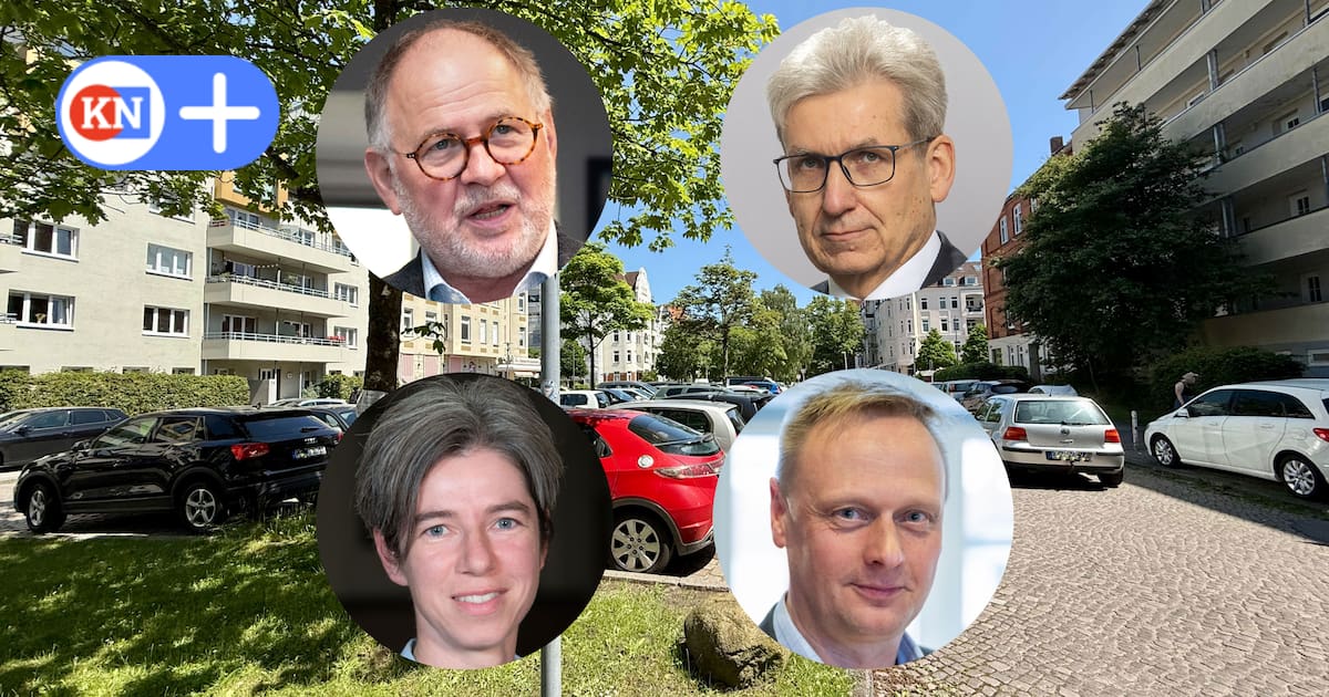 Der Vorschlag der Grünen wird nur dank des AfD-Votums angenommen