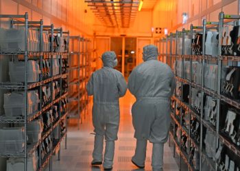 Nexperia: China erwägt Ausnahmen vom Chip-Exportverbot