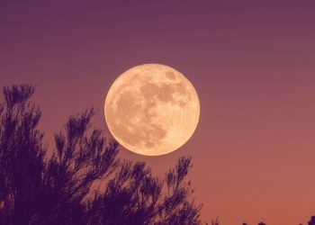 Der Supermond am 5. November bringt Glück in unser Leben – das erwartet Ihr Sternzeichen