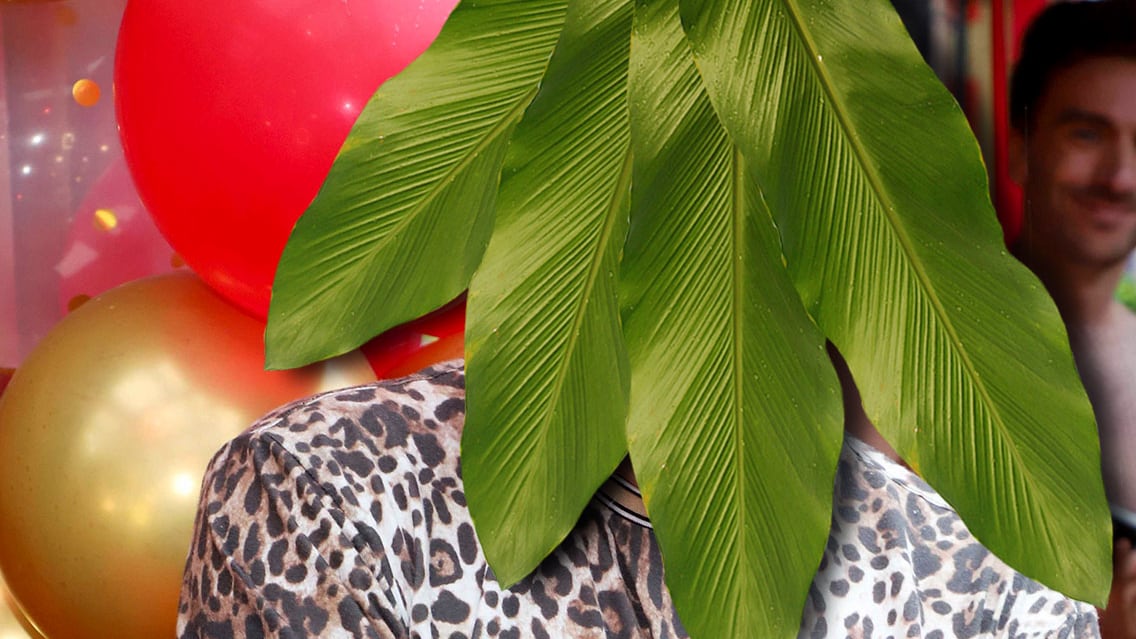 Dschungelcamp 2026: „Sommerhaus“-Star soll einziehen | Unterhaltung