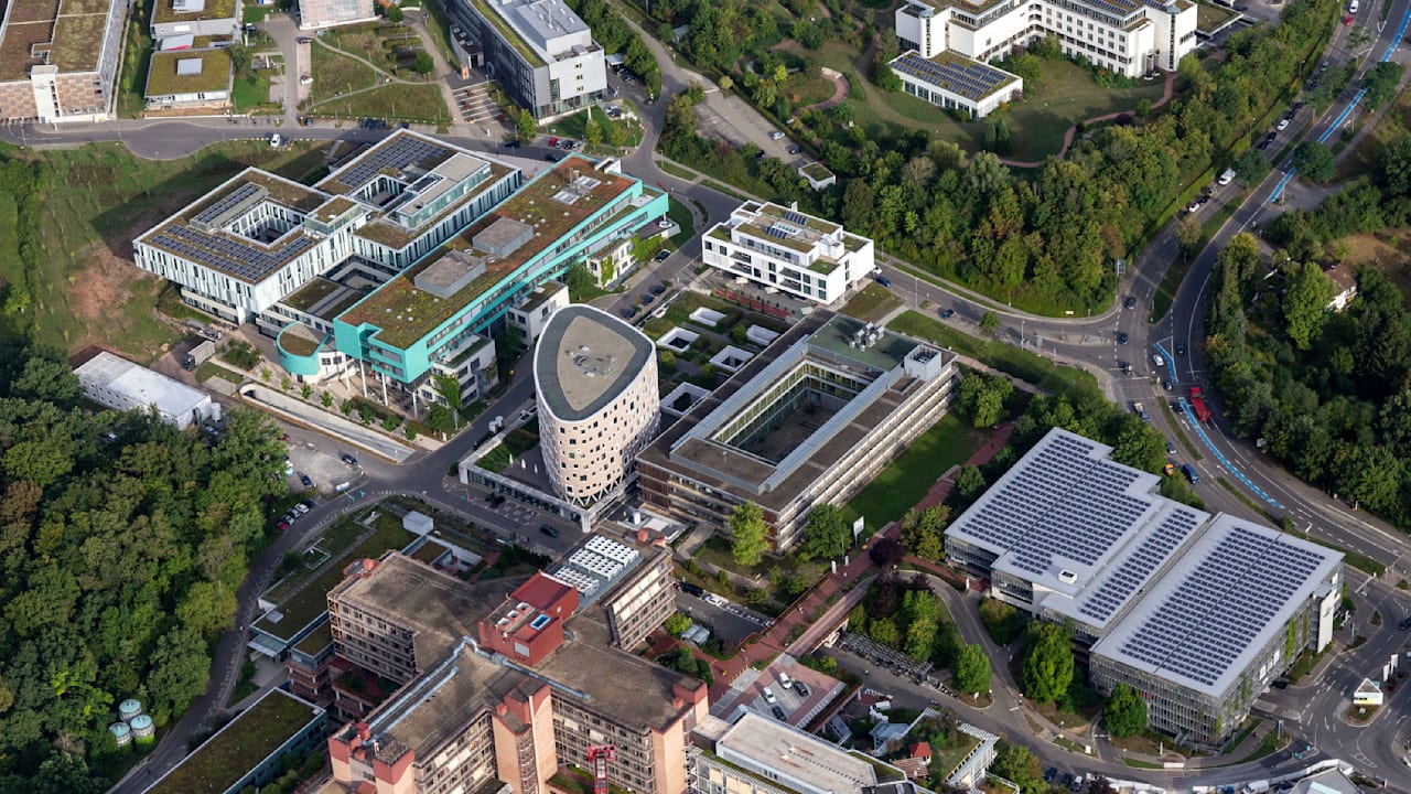 Tödliche Spinnenart im Keller entdeckt: In Deutschland | Regional