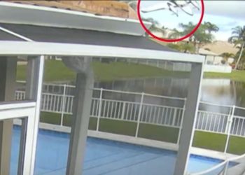 Der Tag am Dienstag, 11. November, auf ntv.de