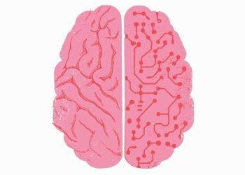 Studien zeigen, dass der Einsatz von KI keine Effizienzgewinne in Unternehmen bringt