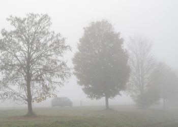 Der Tag auf ntv.de am Montag, 10. November 2025