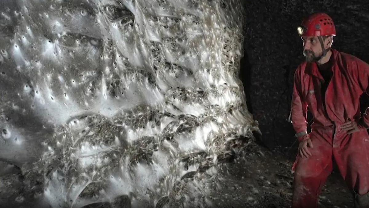 Der Tag am Donnerstag, 6. November 2025