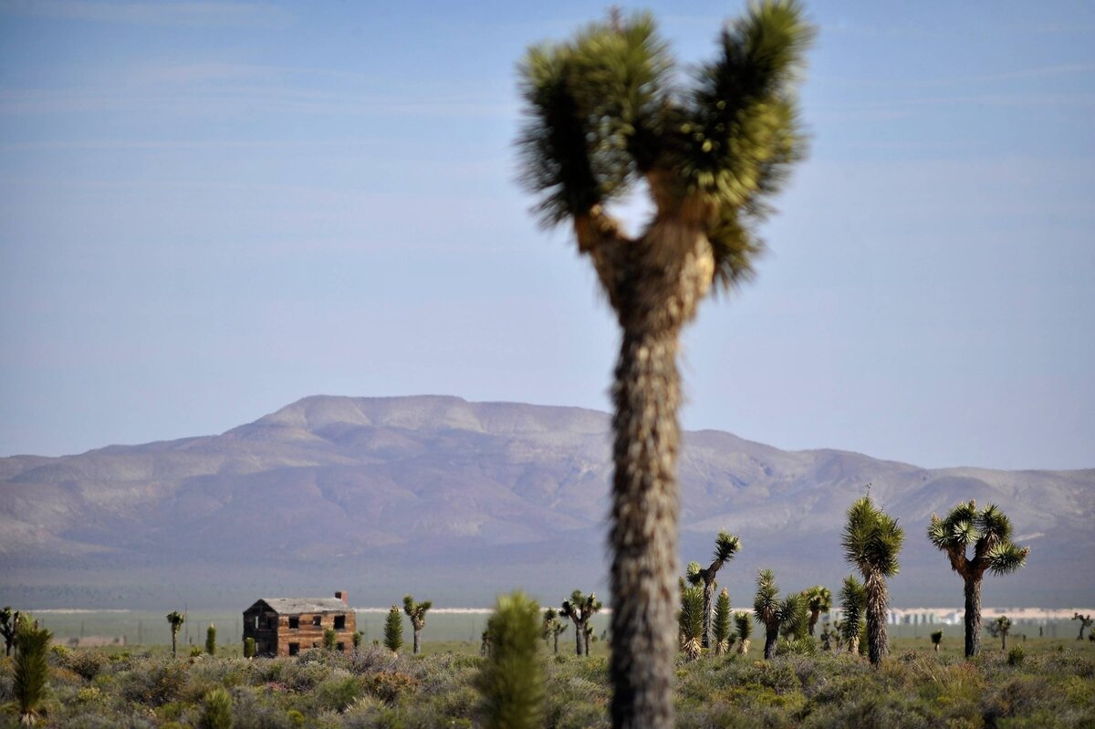 Friedensforscher zu Atomwaffentests: „Die USA brauchen diese Tests definitiv nicht“