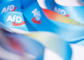 Neue AfD-Jugendorganisation: Neuer Name, alte Netzwerke