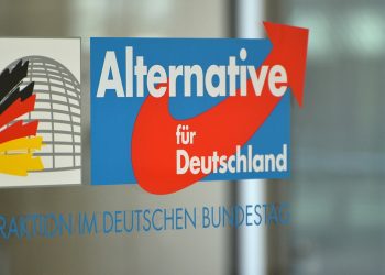 AfD-Abgeordnete planen Reise nach Russland | tagesschau.de