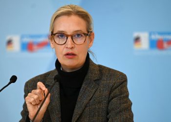Weidel lehnt Russlandreise eines AfD-Abgeordneten ab
