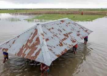 COP30 in Brasilien: Laut UN mussten Millionen Menschen wegen Klimakatastrophen fliehen