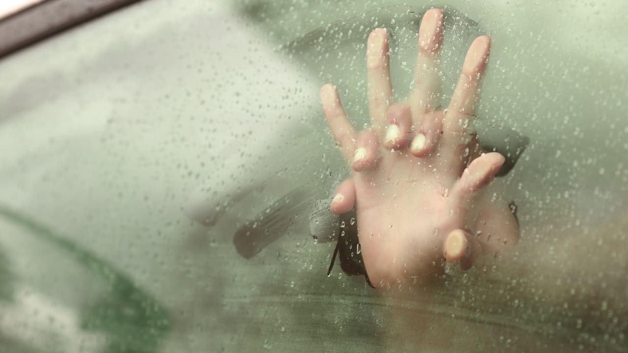 Verkehrsverstoß auf der A1: Pärchen macht sich im Auto intim – mit 140 km/h! – BILD