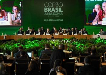 COP30: Worum es beim Klimagipfel in Brasilien geht