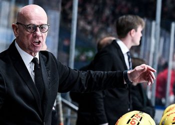 Löwen Frankfurt entlässt Cheftrainer Tom Rowe. – Lions Frankfurt