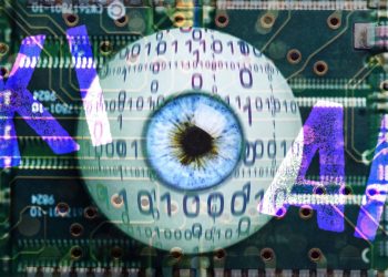 15 Fragen testen Ihr digitales Wissen kostenlos